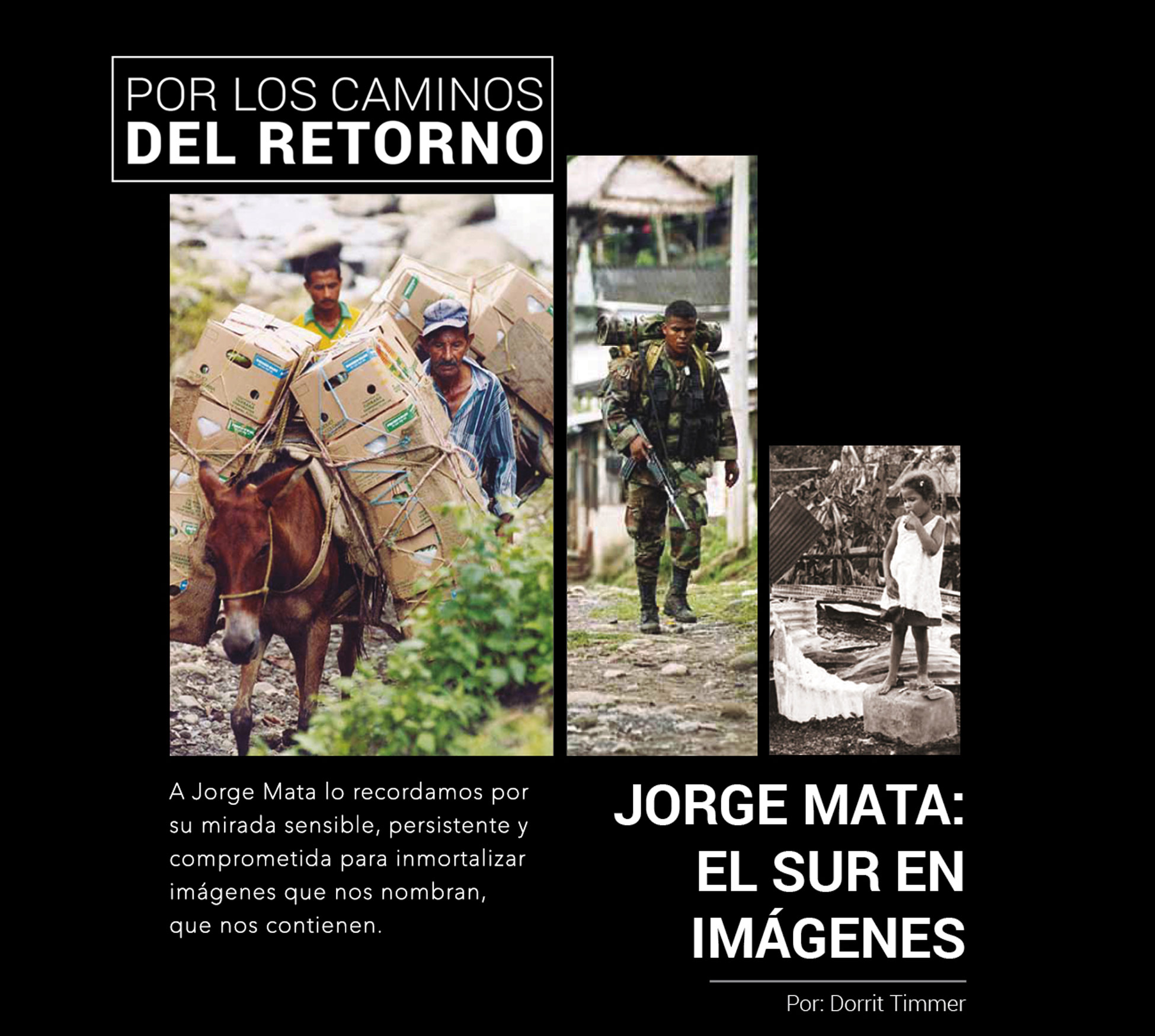 JORGE MATA