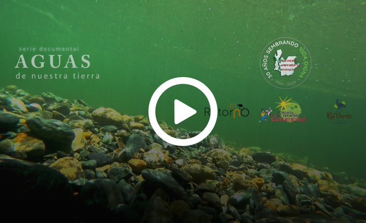 Image is not available