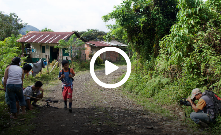 Image is not available