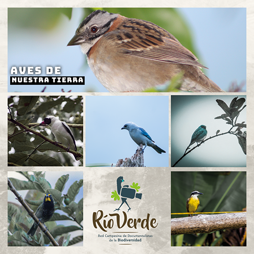 Image is not available